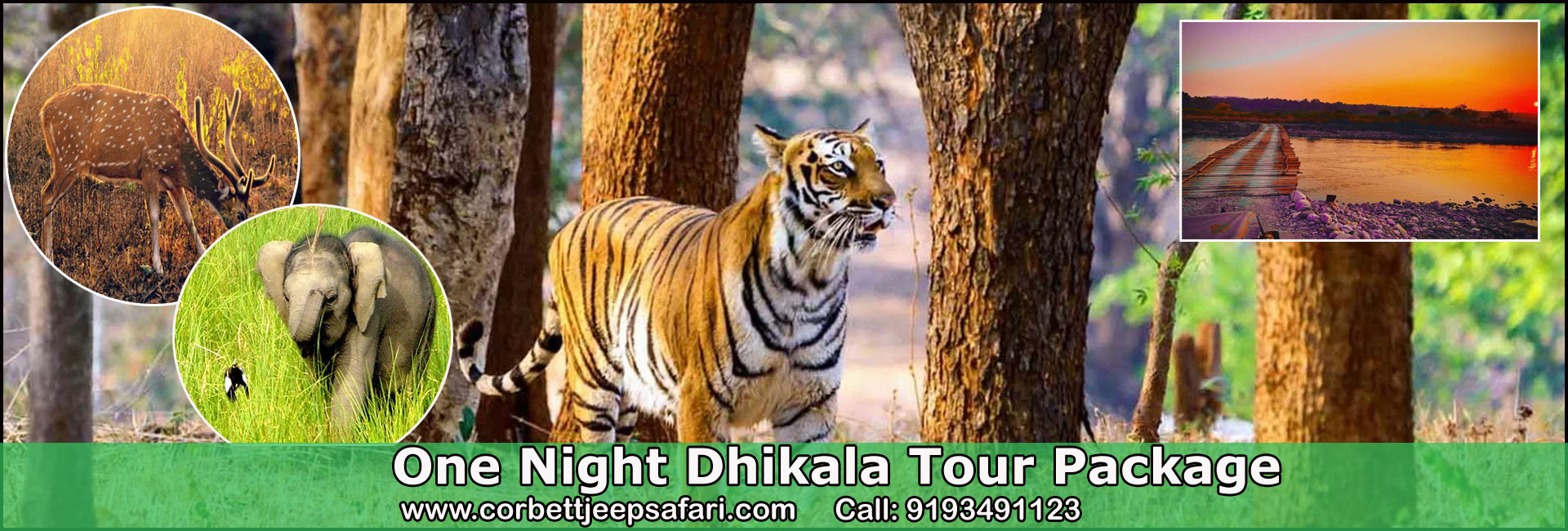 dhikala tour package