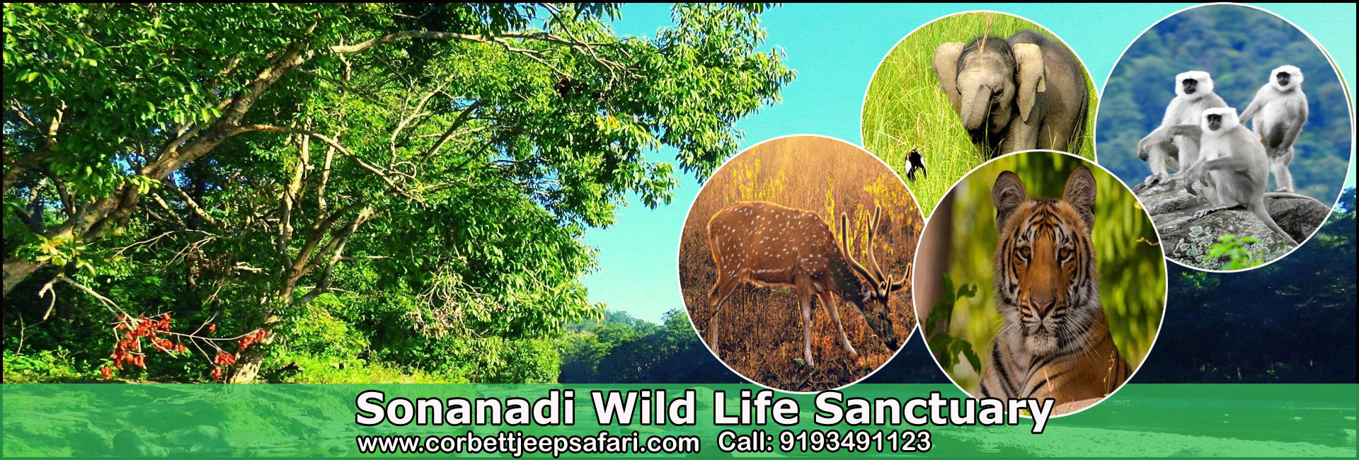 Sonanadi Safari Zone