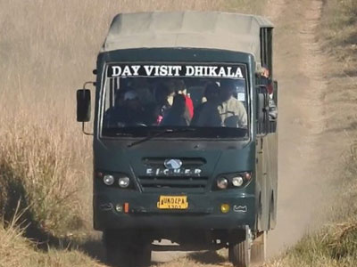 Dhikala Canter Safari